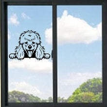 Load image into Gallery viewer, Poodle Dog Peeking Vinyl Decal