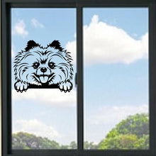 Load image into Gallery viewer, Pomeranian Peeking Dog Vinyl Decal