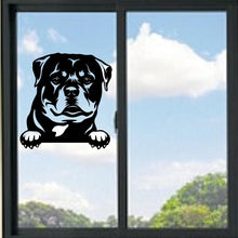 Load image into Gallery viewer, Rottweiler Peeking Dog Vinyl Decal