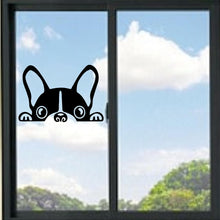 Load image into Gallery viewer, Peeking French Dog Vinyl Decal