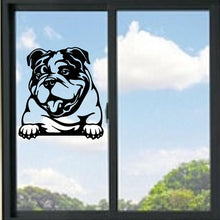 Load image into Gallery viewer, English Bulldog Peeking Dog Vinyl Decal