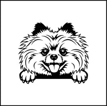 Load image into Gallery viewer, Pomeranian Peeking Dog Vinyl Decal