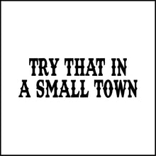 Load image into Gallery viewer, Try That In A Small Town Vinyl Decal