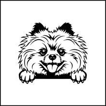 Load image into Gallery viewer, Pomeranian Peeking Dog Vinyl Decal