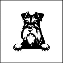 Load image into Gallery viewer, Schnauzer Terrier Peeking Dog Vinyl Decal