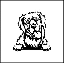 Load image into Gallery viewer, Golden Retriever Peeking Dog Vinyl Decal