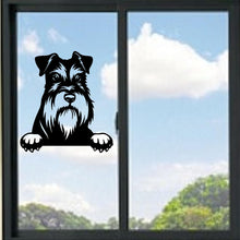 Load image into Gallery viewer, Schnauzer Terrier Peeking Dog Vinyl Decal
