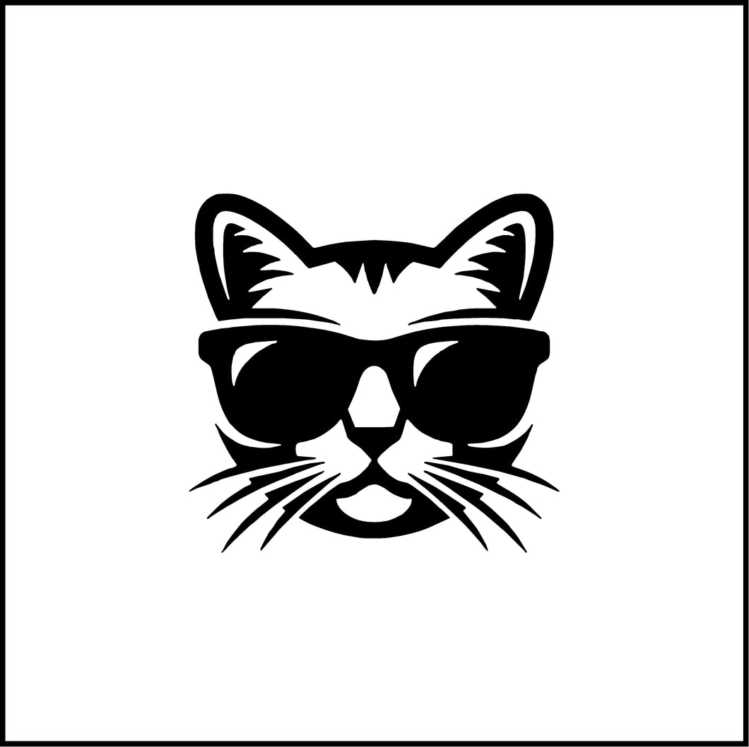 Cat With Sunglasses Vinyl Decal