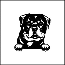 Load image into Gallery viewer, Rottweiler Peeking Dog Vinyl Decal
