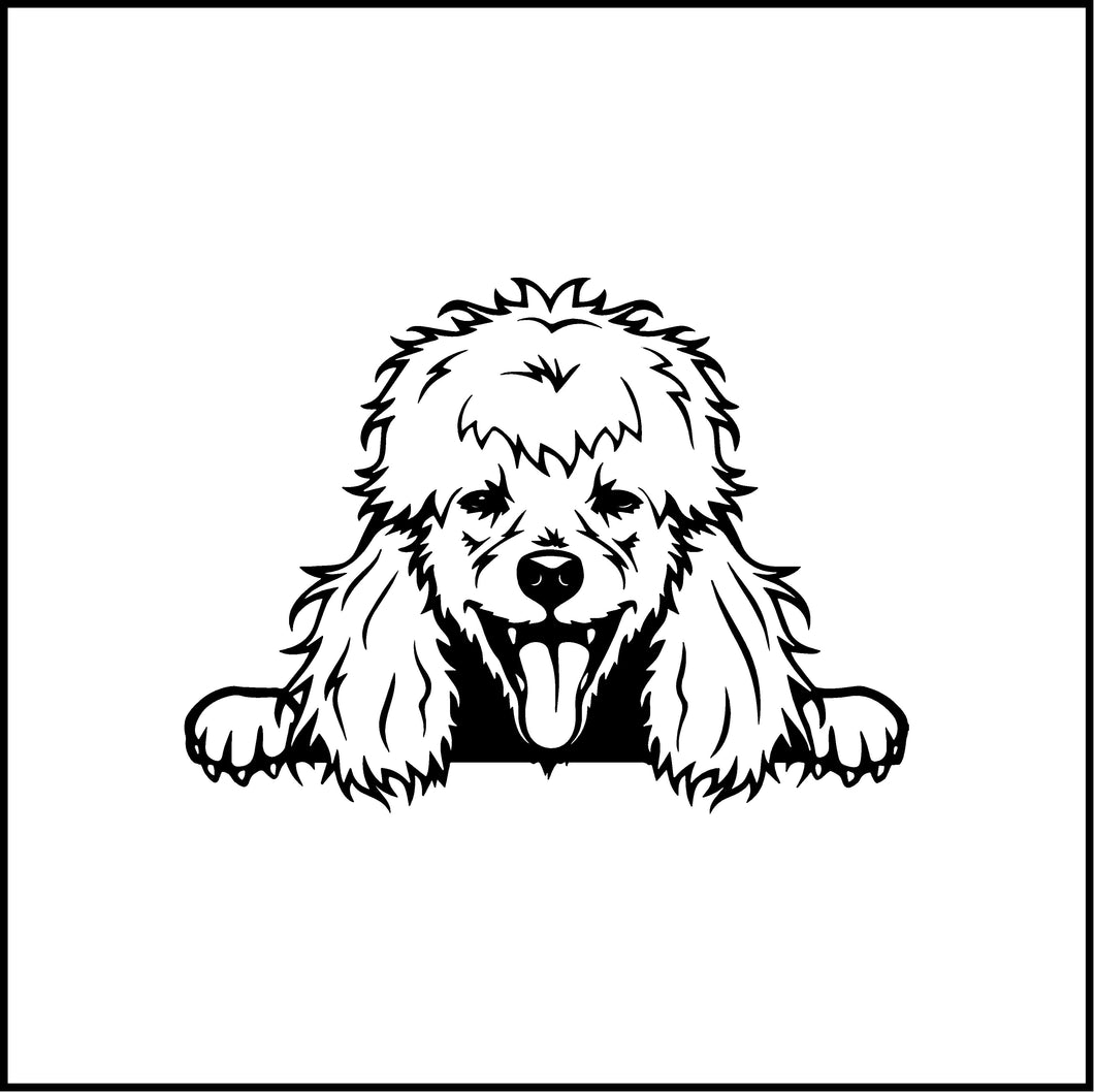 Peeking Poodle Dog Vinyl Decal