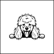 Load image into Gallery viewer, Peeking Poodle Dog Vinyl Decal

