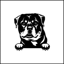 Load image into Gallery viewer, Rottweiler Peeking Dog Vinyl Decal
