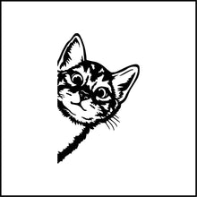 Load image into Gallery viewer, Cat Peeking #2 Vinyl Decal
