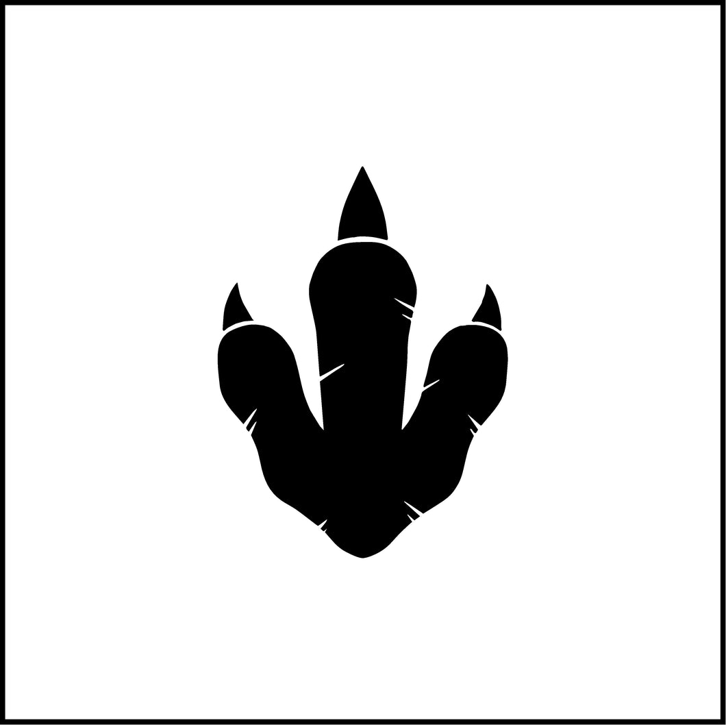Dinosaur Track/Print Vinyl Decal