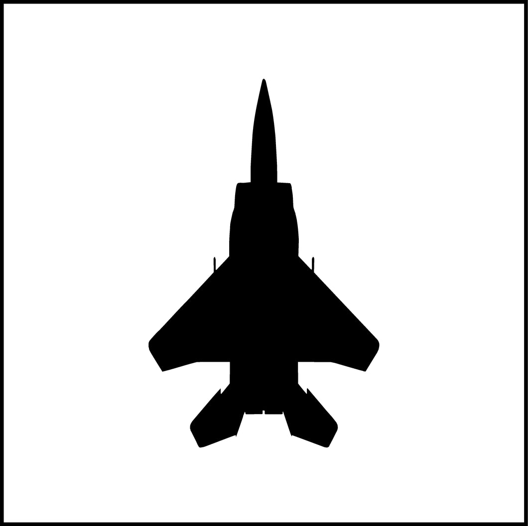 Fighter Jet/Airplane Vinyl Decal