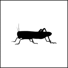 Load image into Gallery viewer, Grasshopper Vinyl Decal
