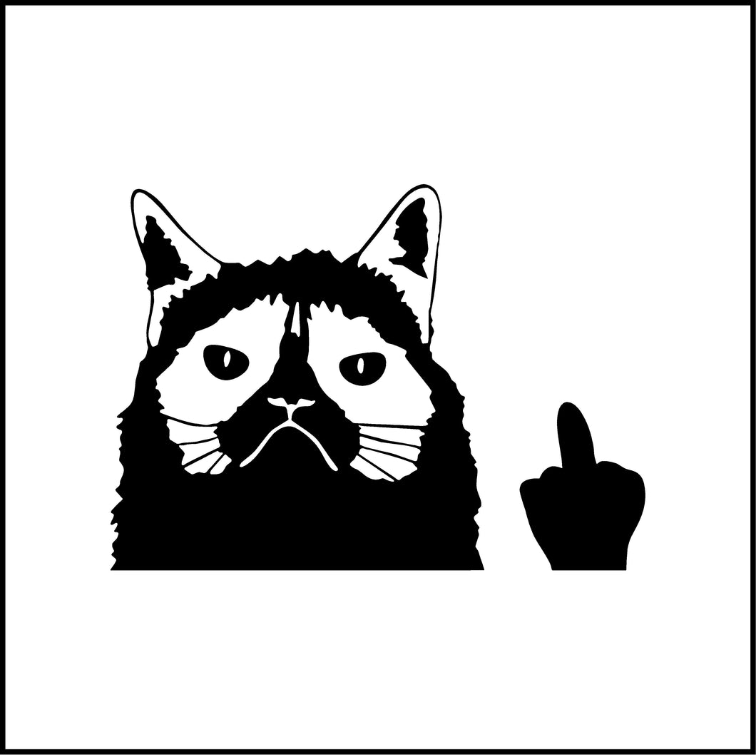 Grumpy Cat Giving The Middle Finger Funny Vinyl Decal