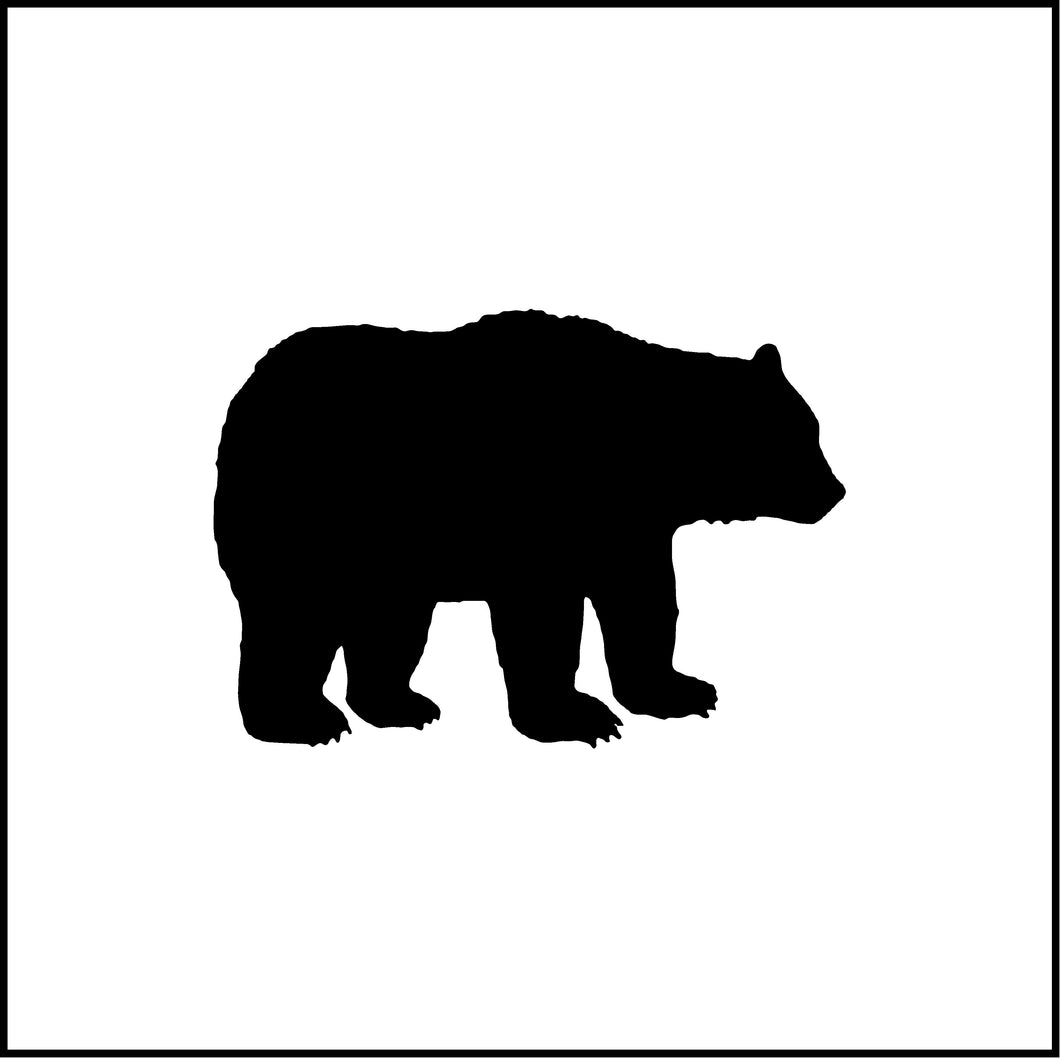 Grizzly Bear Vinyl Decal