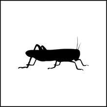 Load image into Gallery viewer, Grasshopper Vinyl Decal
